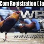 The Facts of Wpit18 and Its Dashboard Login-Registration Method in 2022