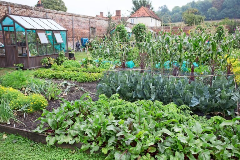 Vegetable Gardening